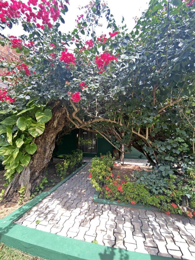 Free! Hostel Vila Praia de Pipa Εξωτερικό φωτογραφία